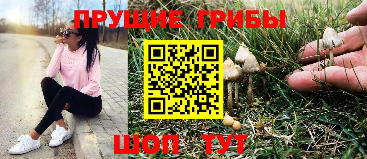 Галлюциногенные грибы GOLDEN TEACHER Нижневартовск