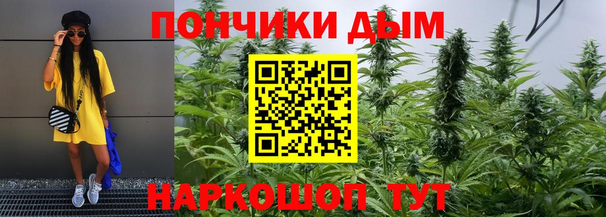 Канабис сатива Нижневартовск